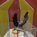 Thumb 4f79068745aa82394d000001