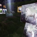 Thumb 572155a5b713f762dd000001