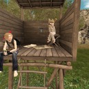 Thumb 5748c6dae85cda31ed000001