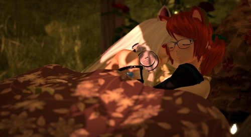 Web 56c9ee3a3f942f5b2c000001