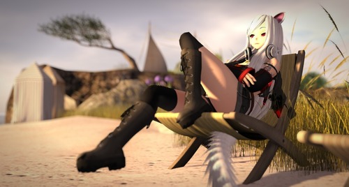 Web 5755dfb2e85cda4c5b000001