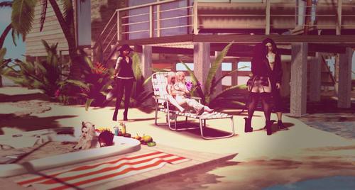 Web 5bd4f5e3d774f81f7f000001