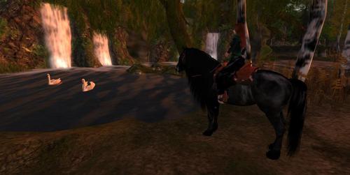 Web 5c566c7fd774f86295000001