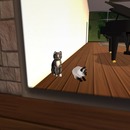 Thumb 518da87dbe2ca168ec000001