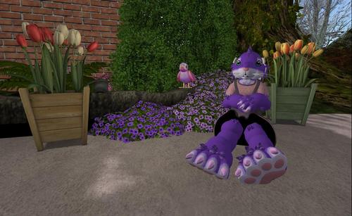 Web 58fbb99f289dd25c98000001