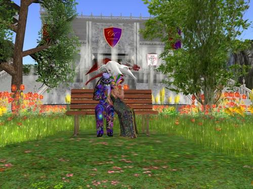 Web 5c7f4200d774f81564000001