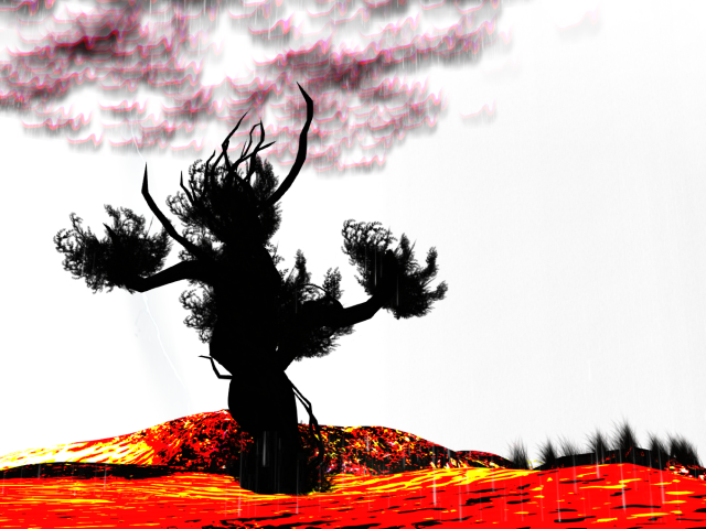 Original 55efc4dd128cc950b5000001