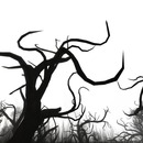 Thumb 52121946a300333fce000001