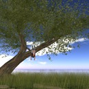 Thumb 5229e9d001cce94c13000001