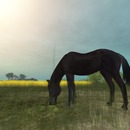 Thumb 54057bfdf8a1ec354c000001