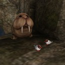 Thumb 541b09f6128cc96b79000001