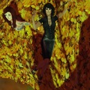 Thumb 544160a68da572391d000001