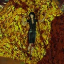 Thumb 5441615e8da5723e3d000001