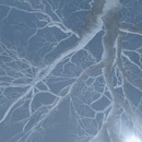 Thumb 54a2c5da128cc960a0000001