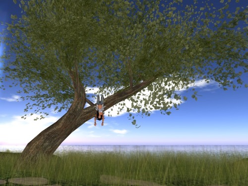 Web 5229e9d001cce94c13000001