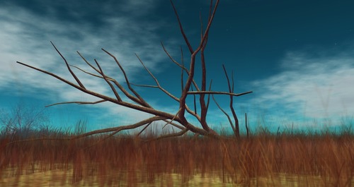 Web 522c9d3cc9a5e7452d000001