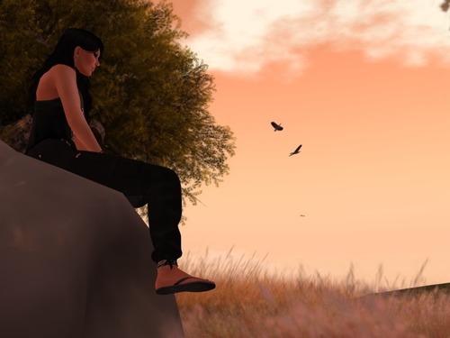 Web 5469a429a73e21460b000001