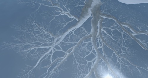 Web 54a2c5da128cc960a0000001