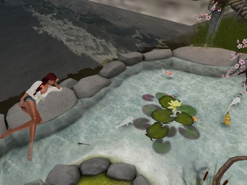 Web 553cf12cf8a1ec47f9000001