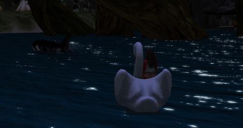 Web 5bf4274dd9859c0d91000001