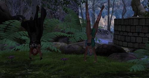 Web 5ce98e3dd9859c6f32000001