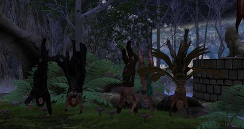 Web 5ce996a5d9859c0ebe000001