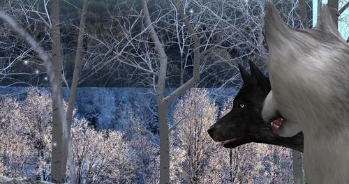 Web 5d051b4373ed176396000001