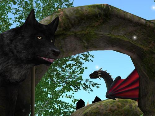 Web 5d051d51d774f81ed4000001