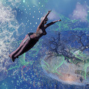 Thumb 67bcee8e630f0765a059cc7c