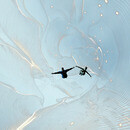 Thumb 67bcfd312a4cb65c0755b462