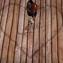 Thumb 51df171afc9a2c169f000001