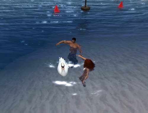 Web 51f06d031c2840287d000001