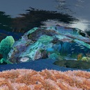 Thumb 51c4cf00f2685879f8000001