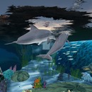 Thumb 51c4cf0de9b57c7b23000001