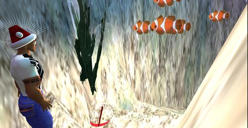 Web 5c1af54ad774f80c1e000001