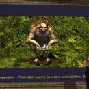 Thumb 61d6060f1e988e5061fd19f9