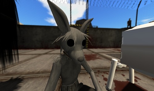 Web 50fb21ddc950db1a1b000001