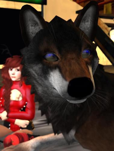 Web 61984b4ab8731c19a1dc1d1b