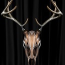 Thumb 529fc0b32c82355f61000001