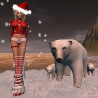 Small 548d817f8da5723cea000001