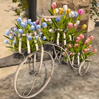 Small 551421528da572152a000001