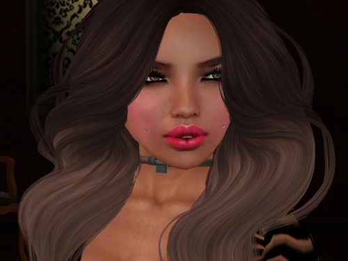 Web 505e6cb8e771cb3881000001