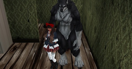 Web 50a403b4af67ad0803000001