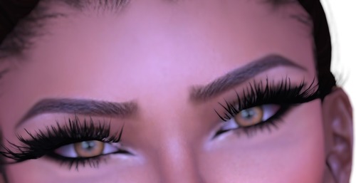 Web 54cd1a74f8a1ec6bdd000001