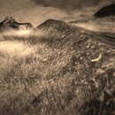 Thumb 57af2f76f8a1ec060b000001