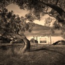 Thumb 57af2fd3f8a1ec07ef000001