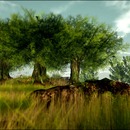 Thumb 57d7b9dfe85cda179a000001