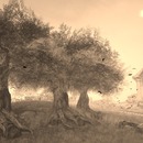 Thumb 57d910ebf8a1ec4ded000001