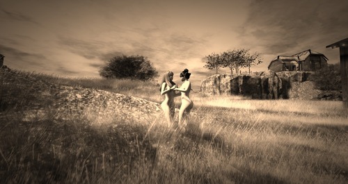 Web 57af2967f8a1ec63f3000001