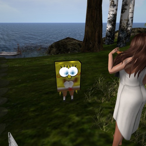 Web 57d285a4e85cda6640000001